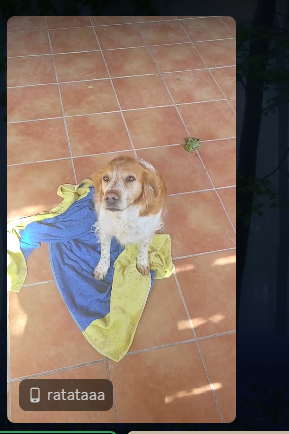 Captura de pantalla 2026-04-28 171710.png